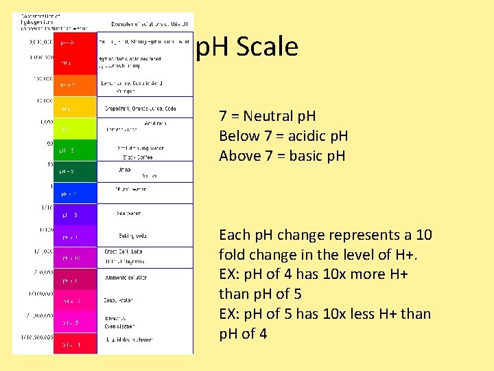 p. H Scale 7 = Neutral p. H Below 7 = acidic p. H p. H Scale 7 = Neutral p. H Below 7 = acidic p. H