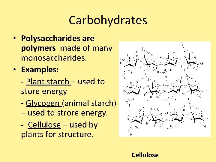 Carbohydrates • Polysaccharides are polymers made of many monosaccharides. • Examples: - Plant starch Carbohydrates • Polysaccharides are polymers made of many monosaccharides. • Examples: - Plant starch