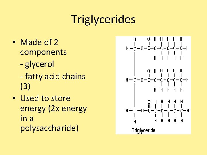Triglycerides • Made of 2 components - glycerol - fatty acid chains (3) • Triglycerides • Made of 2 components - glycerol - fatty acid chains (3) •