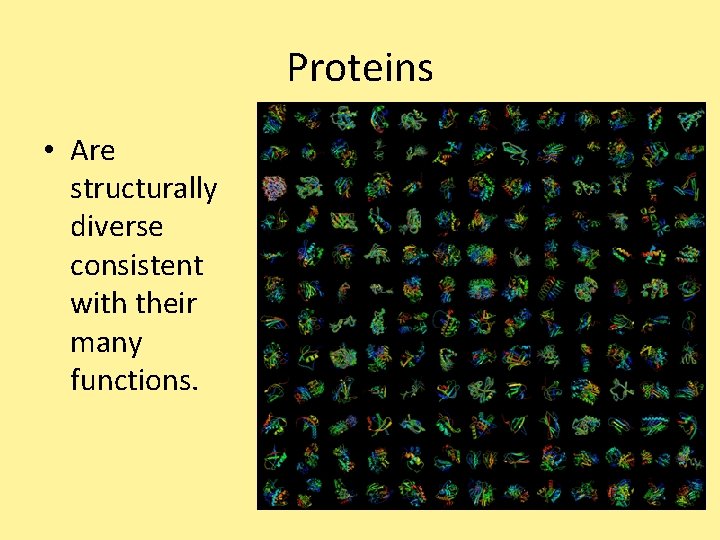 Proteins • Are structurally diverse consistent with their many functions. Proteins • Are structurally diverse consistent with their many functions.