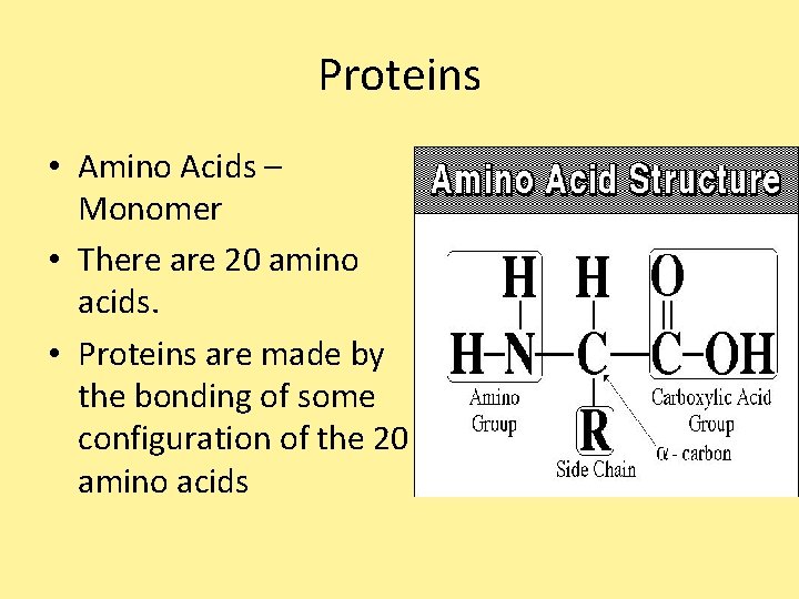 Proteins • Amino Acids – Monomer • There are 20 amino acids. • Proteins Proteins • Amino Acids – Monomer • There are 20 amino acids. • Proteins