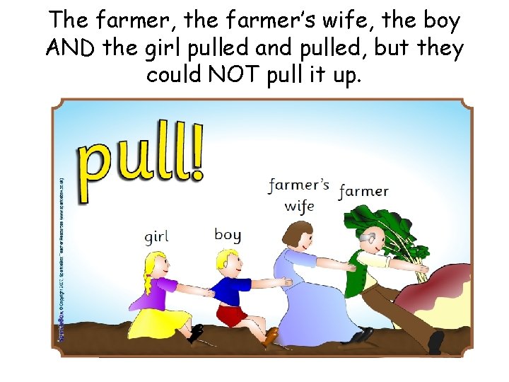 The farmer, the farmer’s wife, the boy AND the girl pulled and pulled, but