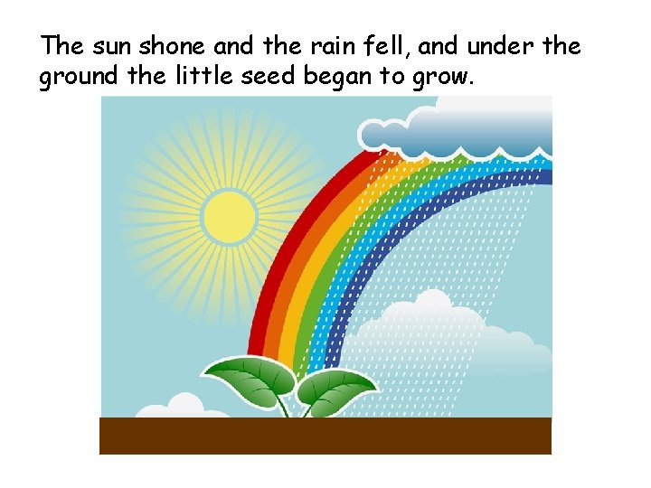 The sun shone and the rain fell, and under the ground the little seed