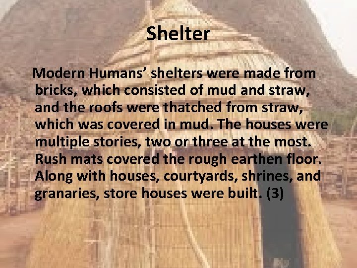 Shelter Modern Humans’ shelters were made from bricks, which consisted of mud and straw,