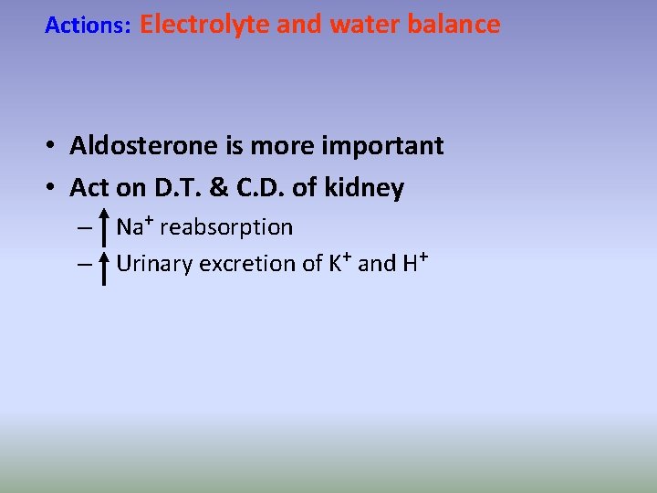 Actions: Electrolyte and water balance • Aldosterone is more important • Act on D.
