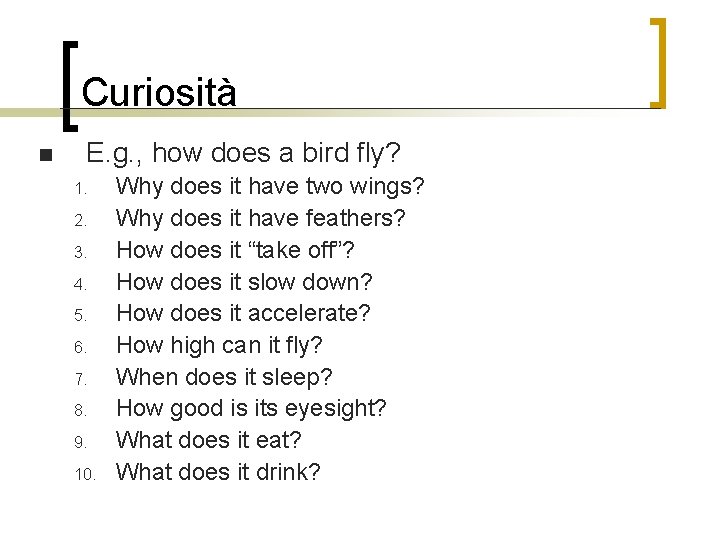 Curiosità n E. g. , how does a bird fly? 1. 2. 3. 4.