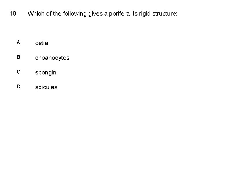 10 Which of the following gives a porifera its rigid structure: A ostia B