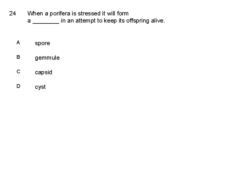 24 When a porifera is stressed it will form a ____ in an attempt