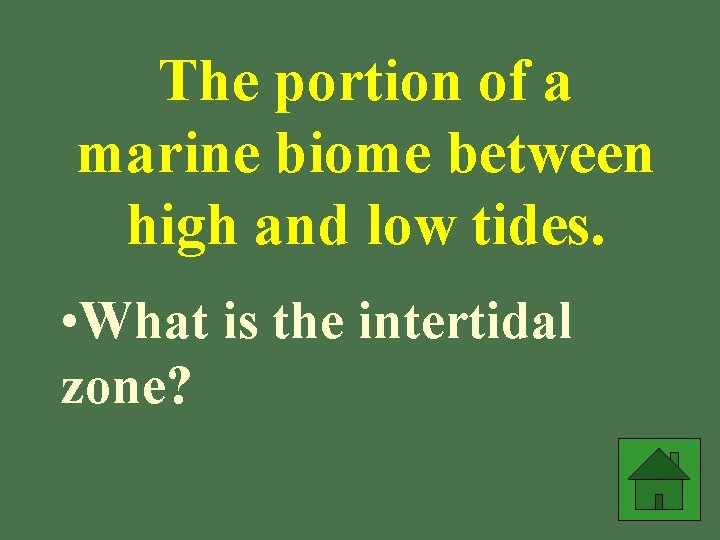 The portion of a marine biome between high and low tides. • What is