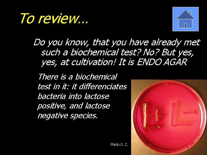 To review… Do you know, that you have already met such a biochemical test?