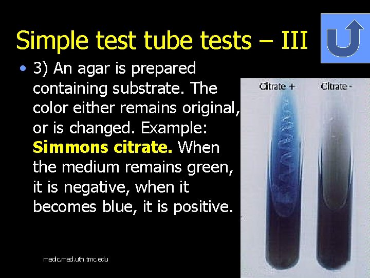 Simple test tube tests – III • 3) An agar is prepared containing substrate.