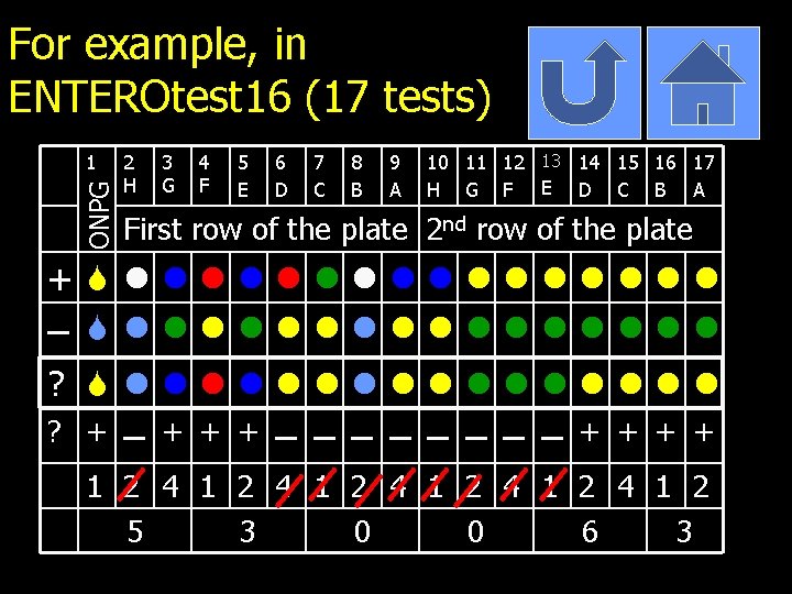 For example, in ENTEROtest 16 (17 tests) ONPG 1 2 H 3 G 4