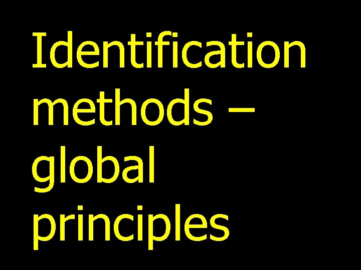 Identification methods – global principles 