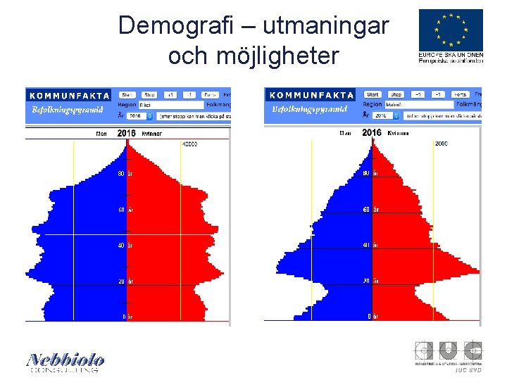 Demografi – utmaningar och möjligheter 