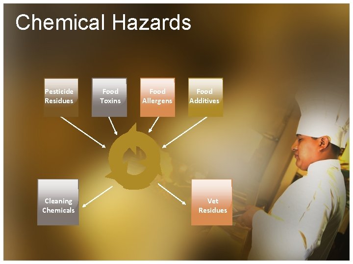 Chemical Hazards Pesticide Residues Cleaning Chemicals Food Toxins Food Allergens Food Additives Vet Residues
