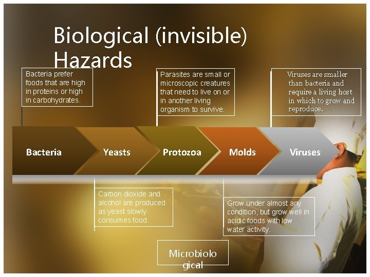 Biological (invisible) Hazards Bacteria prefer foods that are high in proteins or high in