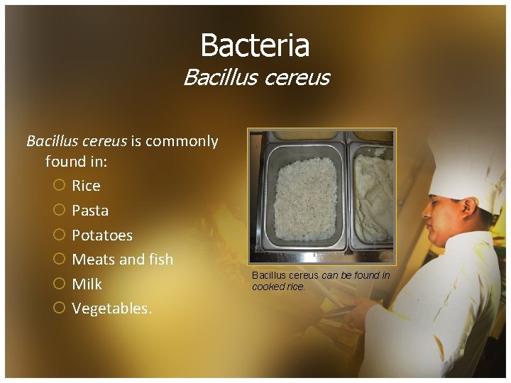 Bacteria Bacillus cereus is commonly found in: ¡ Rice ¡ Pasta ¡ Potatoes ¡
