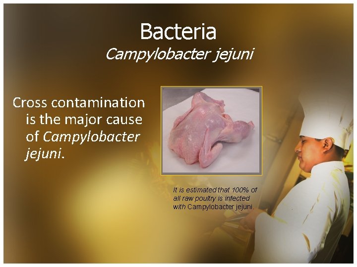 Bacteria Campylobacter jejuni Cross contamination is the major cause of Campylobacter jejuni. It is
