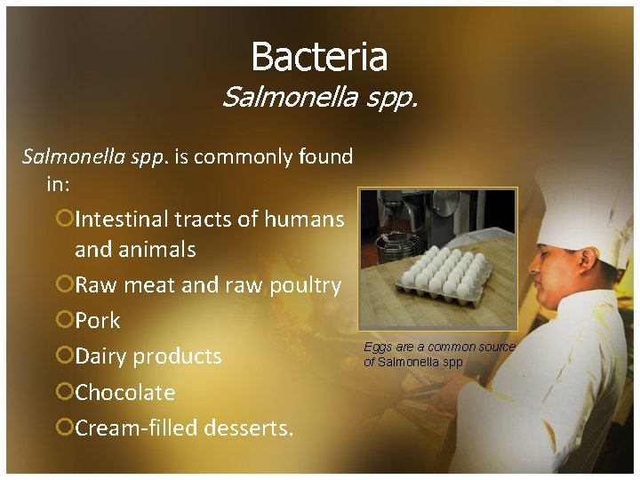 Bacteria Salmonella spp. is commonly found in: ¡Intestinal tracts of humans and animals ¡Raw