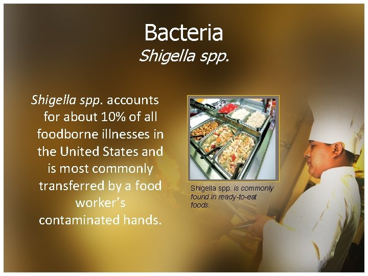 Bacteria Shigella spp. accounts for about 10% of all foodborne illnesses in the United