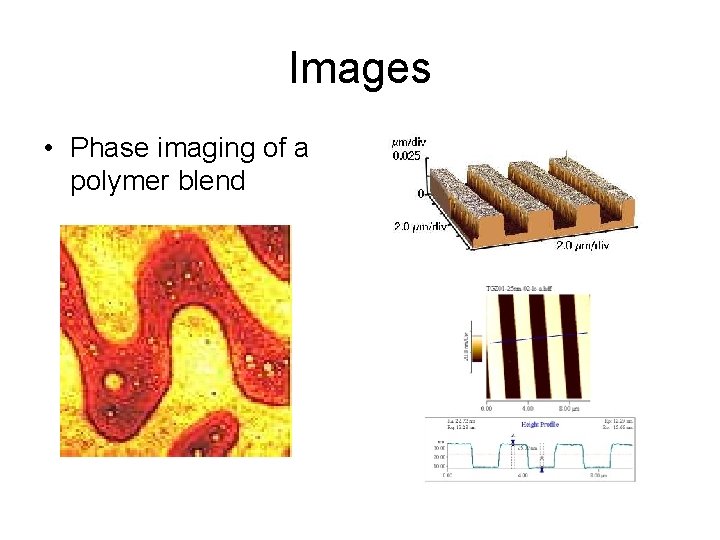 Images • Phase imaging of a polymer blend 