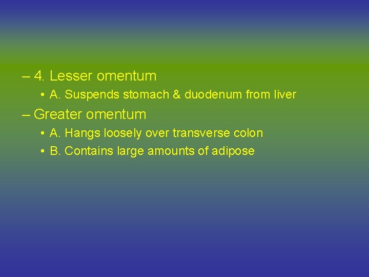 – 4. Lesser omentum • A. Suspends stomach & duodenum from liver – Greater