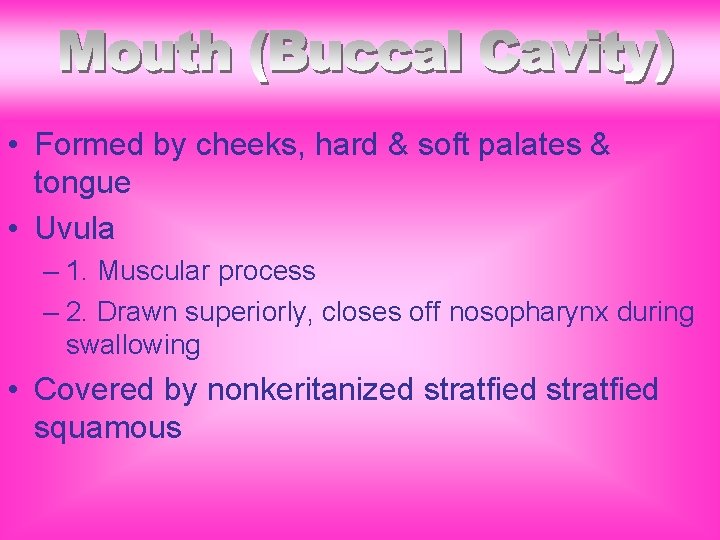  • Formed by cheeks, hard & soft palates & tongue • Uvula –