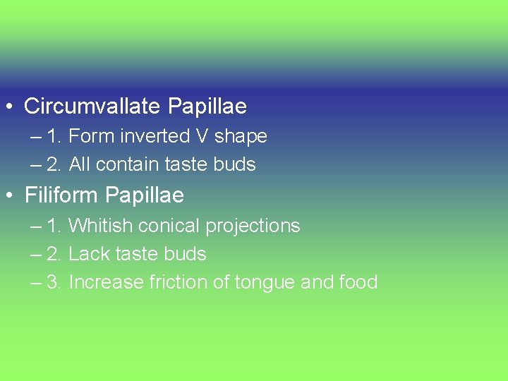  • Circumvallate Papillae – 1. Form inverted V shape – 2. All contain