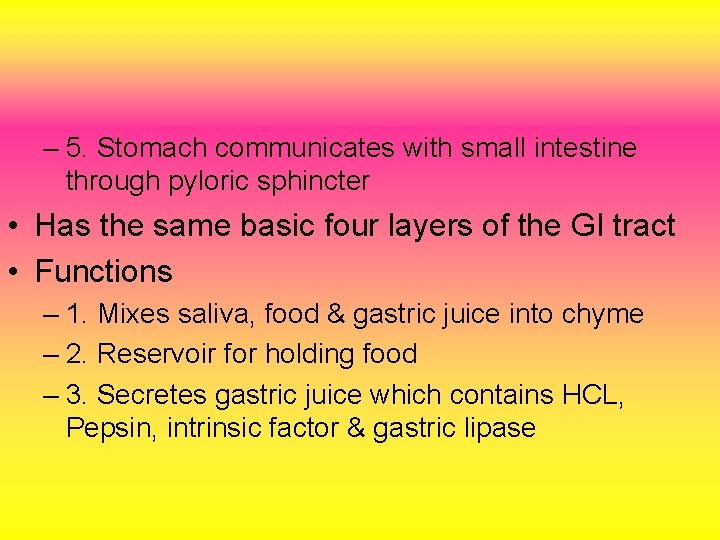 – 5. Stomach communicates with small intestine through pyloric sphincter • Has the same