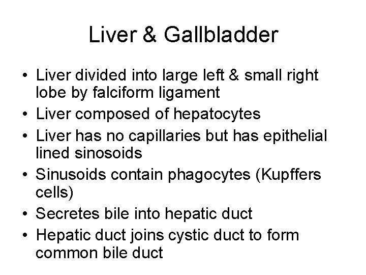 Liver & Gallbladder • Liver divided into large left & small right lobe by