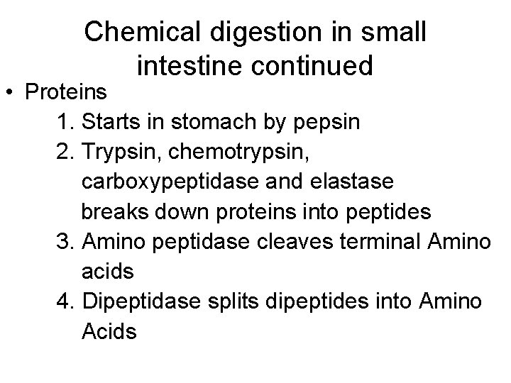 Chemical digestion in small intestine continued • Proteins 1. Starts in stomach by pepsin
