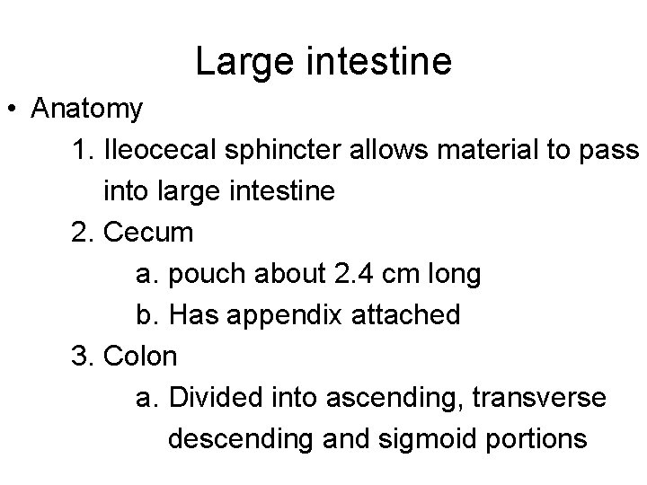 Large intestine • Anatomy 1. Ileocecal sphincter allows material to pass into large intestine