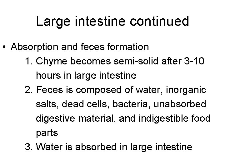 Large intestine continued • Absorption and feces formation 1. Chyme becomes semi-solid after 3