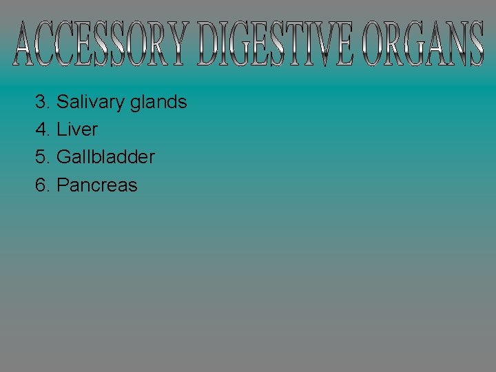 3. Salivary glands 4. Liver 5. Gallbladder 6. Pancreas 