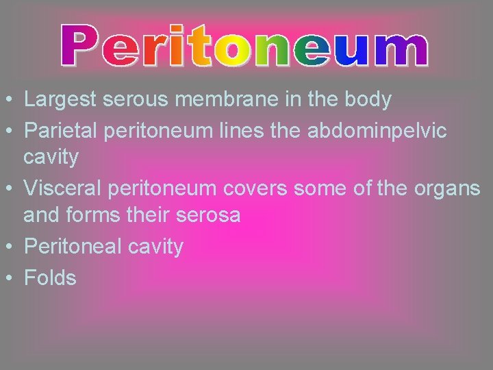  • Largest serous membrane in the body • Parietal peritoneum lines the abdominpelvic