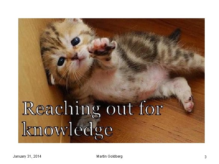 January 31, 2014 Martin Goldberg 3 