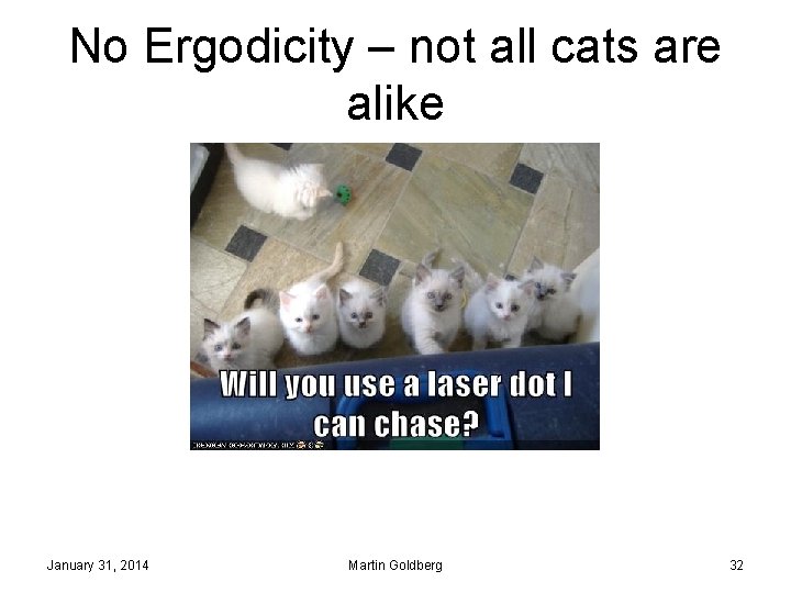 No Ergodicity – not all cats are alike January 31, 2014 Martin Goldberg 32
