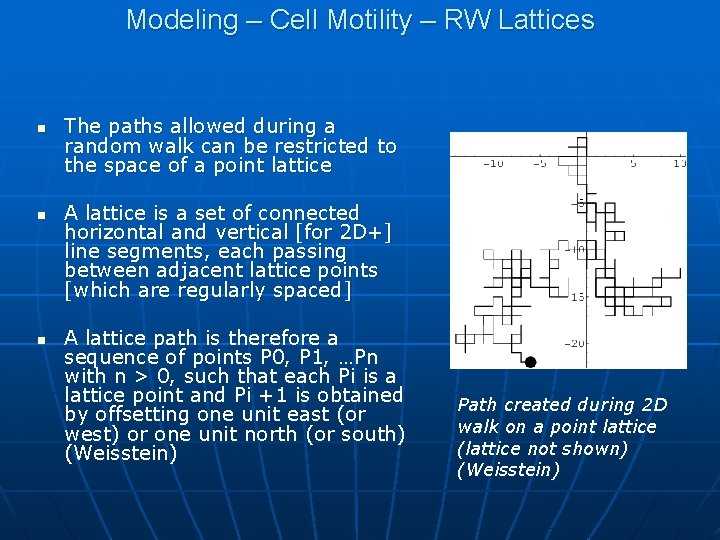 Modeling – Cell Motility – RW Lattices n n n The paths allowed during