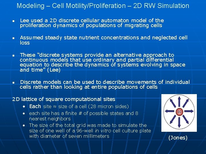 Modeling – Cell Motility/Proliferation – 2 D RW Simulation n Lee used a 2