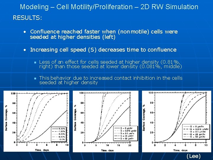 Modeling – Cell Motility/Proliferation – 2 D RW Simulation RESULTS: • Confluence reached faster