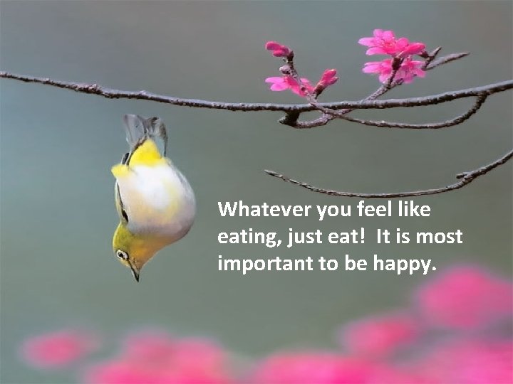 Whatever you feel like eating, just eat! It is most important to be happy.