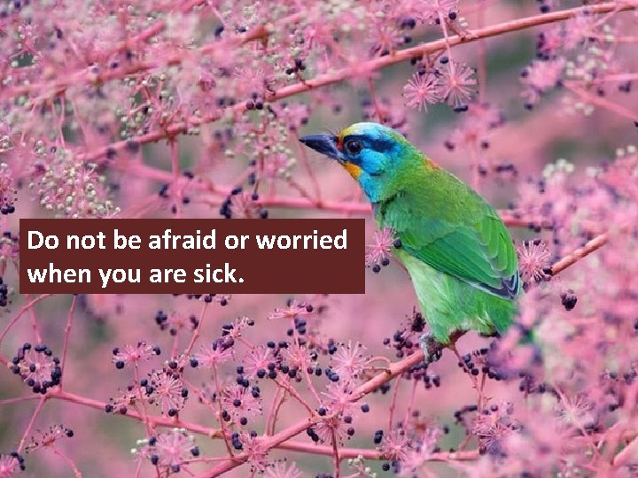 Do not be afraid or worried when you are sick. 