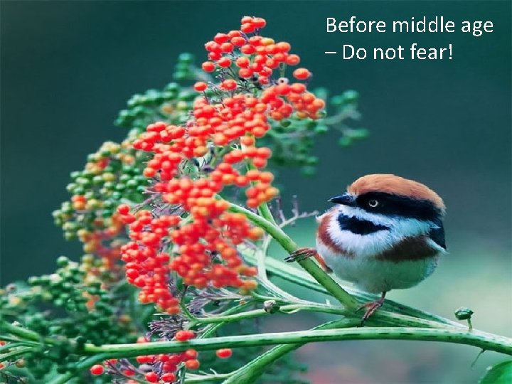 Before middle age – Do not fear! 