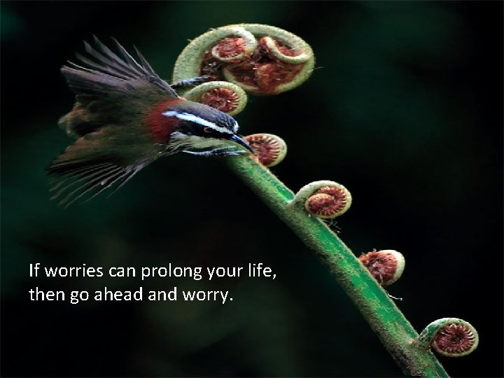 If worries can prolong your life, then go ahead and worry. 
