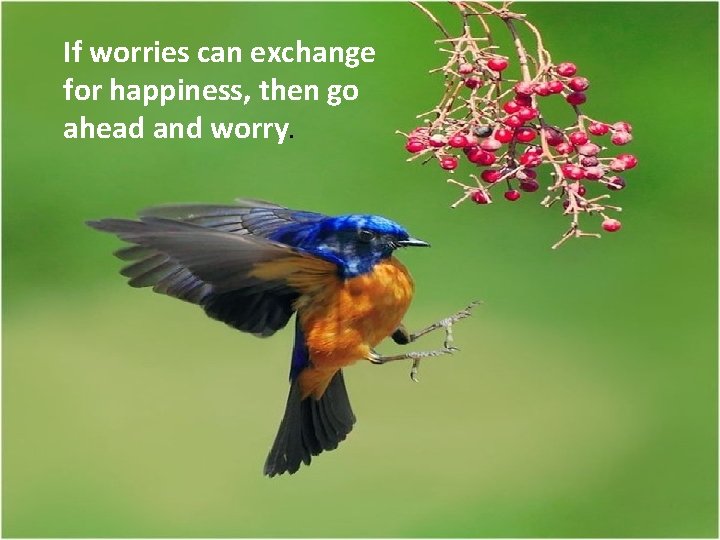 If worries can exchange for happiness, then go ahead and worry. 