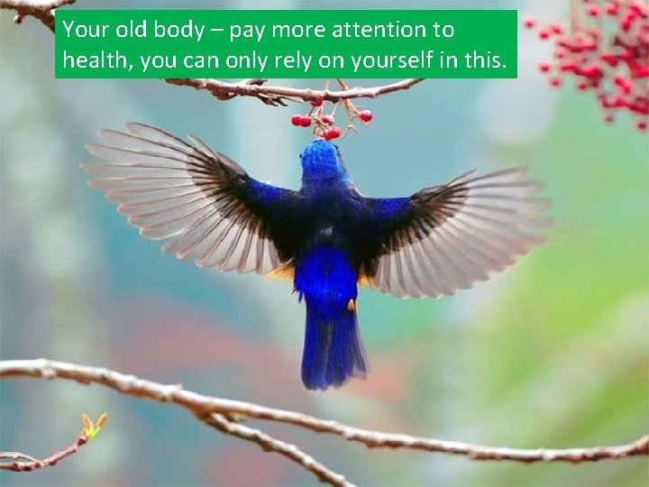 Your old body – pay more attention to health, you can only rely on