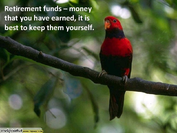 Retirement funds – money that you have earned, it is best to keep them