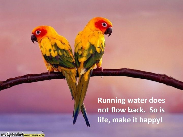 Running water does not flow back. So is life, make it happy! 