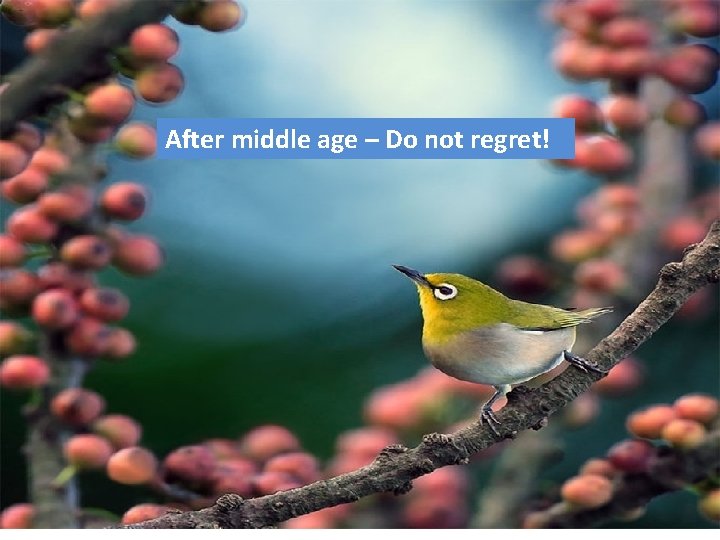 After middle age – Do not regret! 