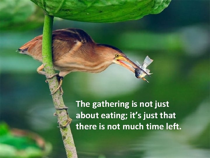 The gathering is not just about eating; it’s just that there is not much